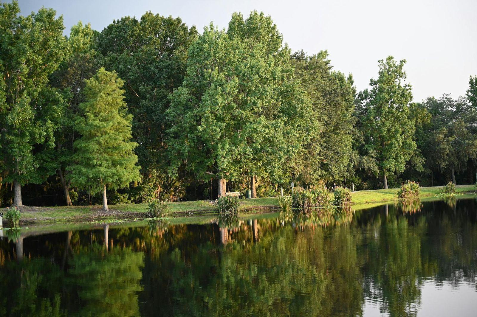 Groveland real estate
