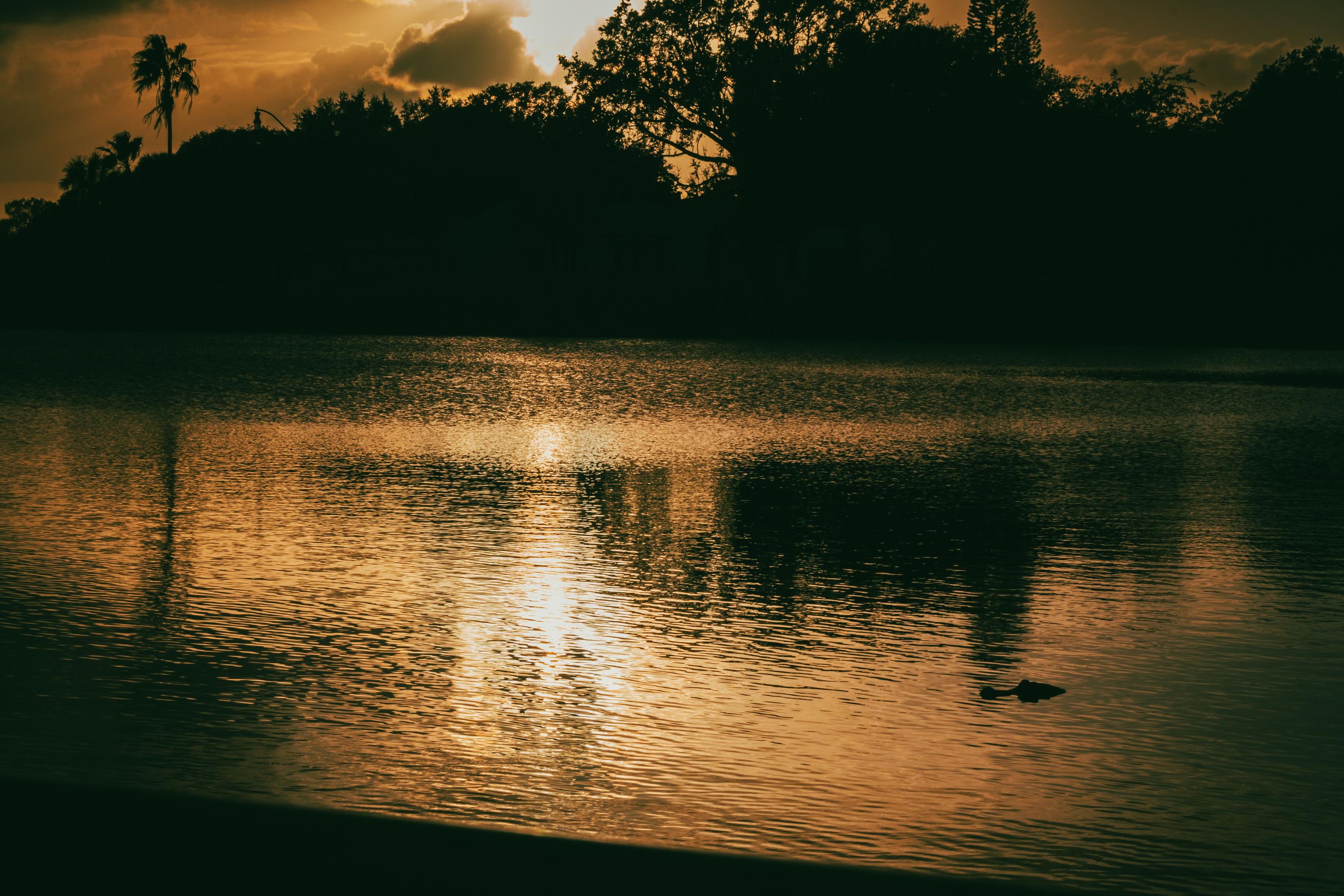 Serene sunset over Lake Tohopekaliga in Kissimmee, the county seat of Osceola County, Florida, with golden reflections on calm water