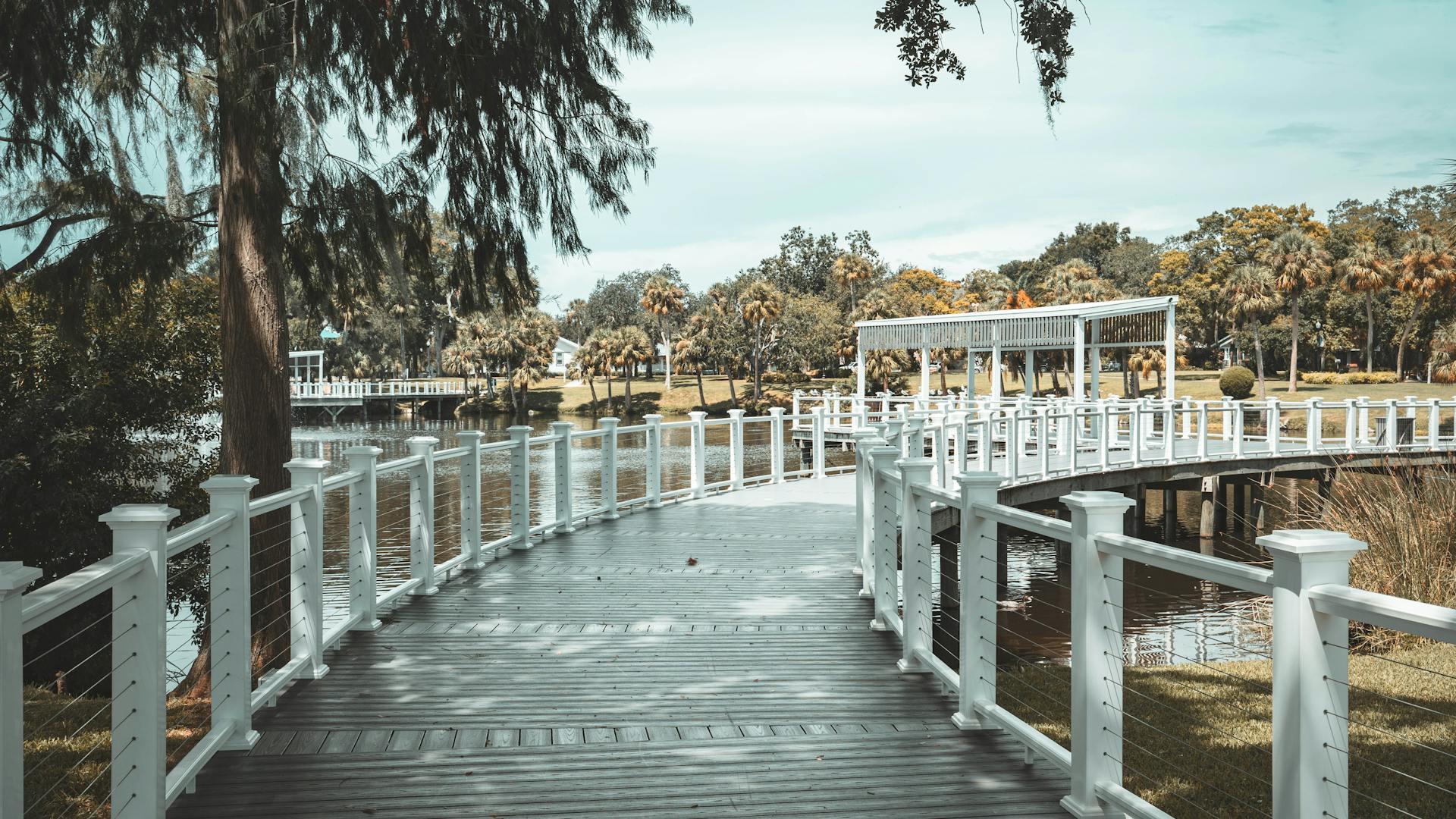 Wooden boardwalk winding through lush greenery at Sims Park in New Port Richey, Pasco County, Florida