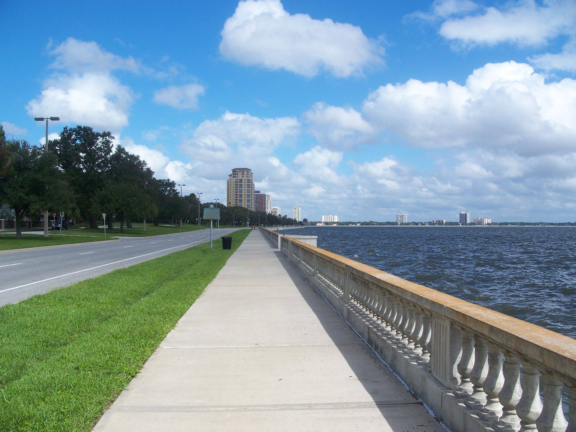 Bayshore Beautiful